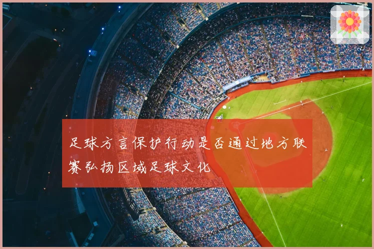 足球方言保护行动是否通过地方联赛弘扬区域足球文化