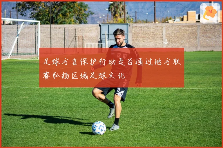 足球方言保护行动是否通过地方联赛弘扬区域足球文化