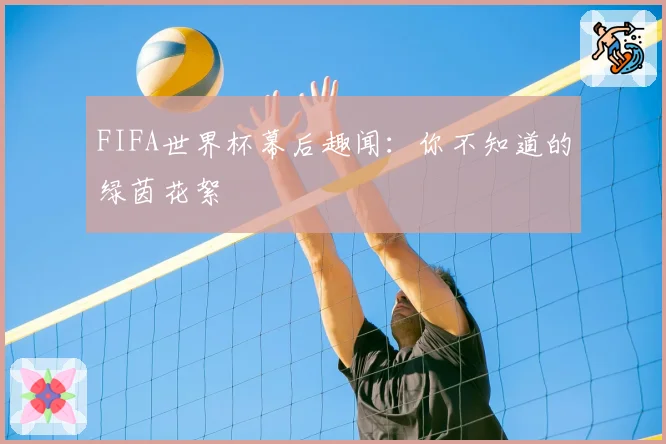 FIFA世界杯幕后趣闻：你不知道的绿茵花絮
