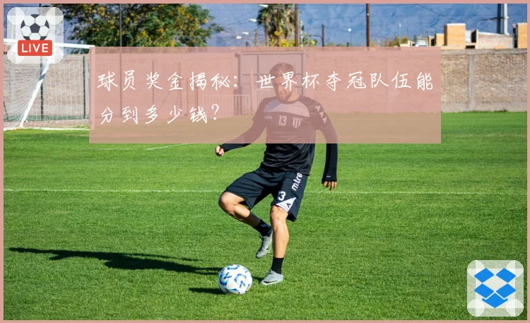 球员奖金揭秘：世界杯夺冠队伍能分到多少钱？