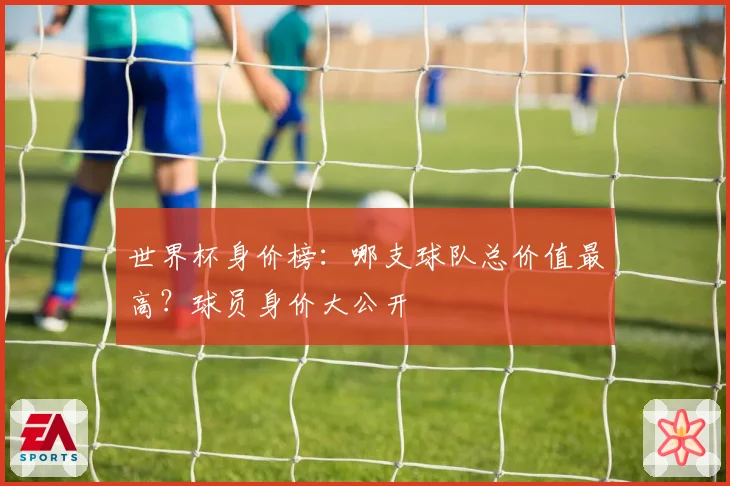 世界杯身价榜：哪支球队总价值最高？球员身价大公开