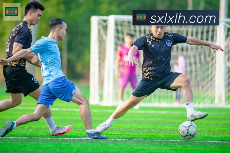 开云kaiyun官网全站App